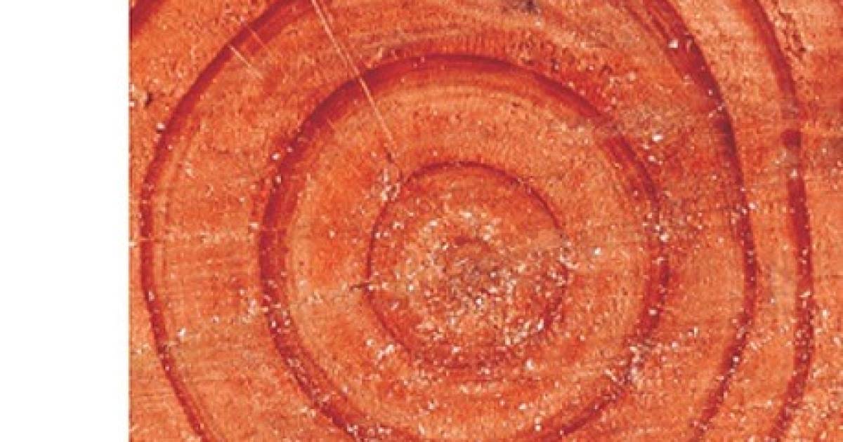 Prerano stari, prekasno mudri TRENUTNO NEDOSTUPNO