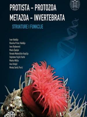 Protista - Protozoa; Metazoa - Invertebrata: strukture i funkcije