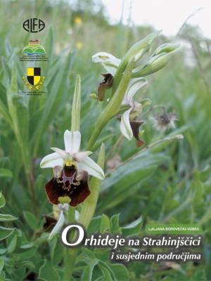Orhideje na Strahinjščici i susjednim područjima