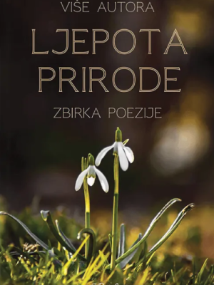 Ljepota prirode