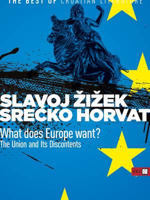 What does Europe want?: the Union and its discontents