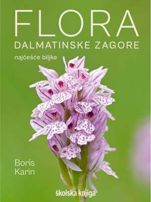 Flora Dalmatinske zagore - najčešće biljke