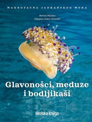 Glavonošci, meduze i bodljikaši