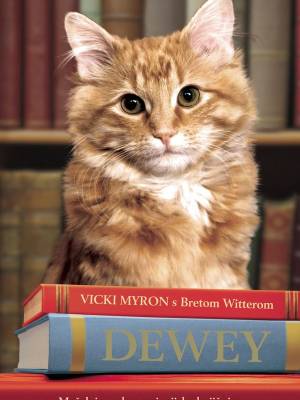 Dewey, mačak iz male provincijske knjižnice koji je raznježio svijet - TRENUTNO NEDOSTUPNO