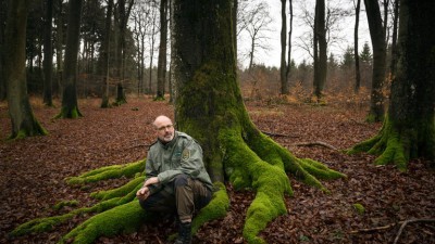 TAJNI ŽIVOT DRVEĆA – Peter Wohlleben – I drveće ima dušu!