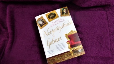 Nevjerojatnost ljubavi - Hannah Rothschild - nevjerojatno dobra knjiga