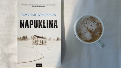 Napuklina -  Ragnar Jonasson – islandska inačica Agathe Christie oduševljava