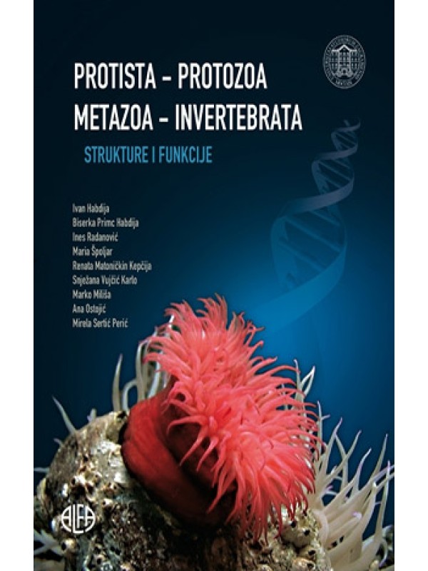 Protista - Protozoa; Metazoa - Invertebrata: strukture i funkcije 331