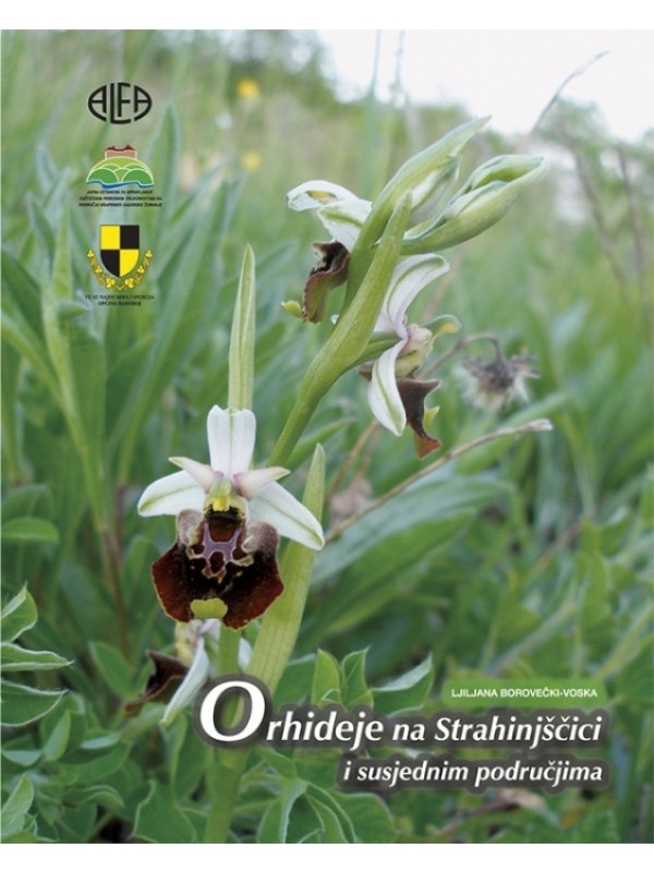 Orhideje na Strahinjščici i susjednim područjima 174