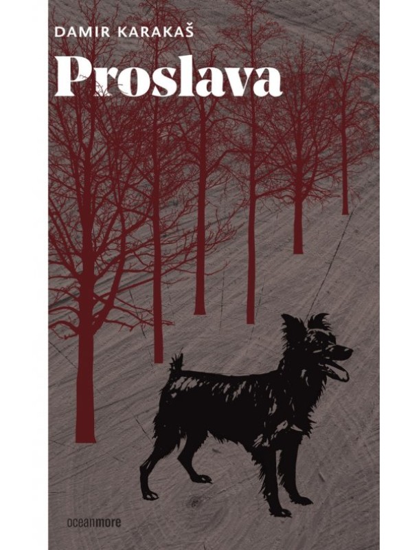 Proslava 13454