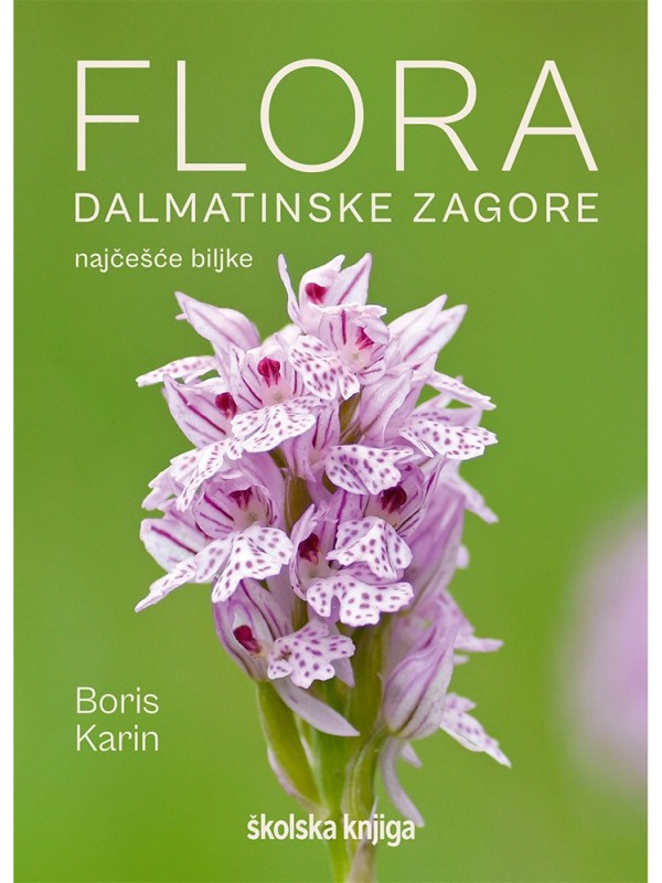 Flora Dalmatinske zagore - najčešće biljke 12286