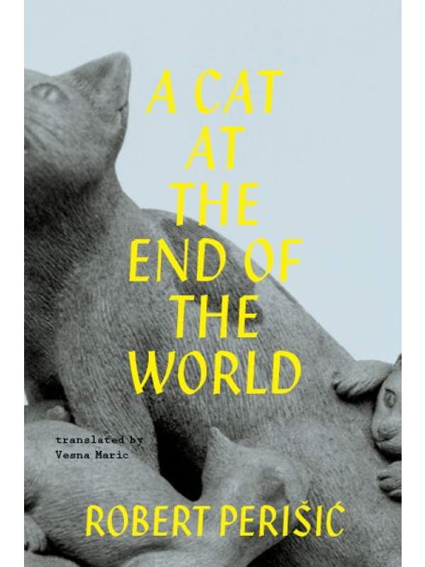 A Cat at the End of the World 778