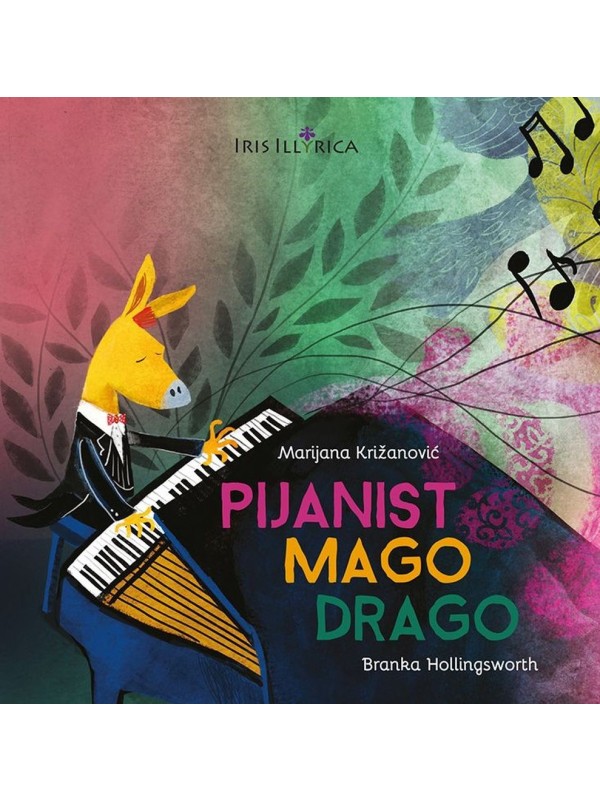 Pijanist Mago Drago 385