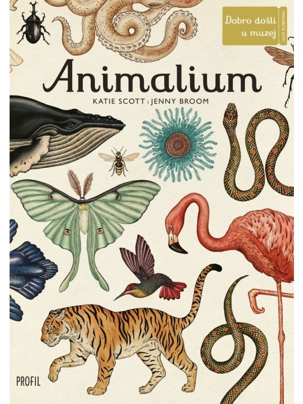 Animalium: dobro došli u muzej TRENUTNO NEDOSTUPNO 3172