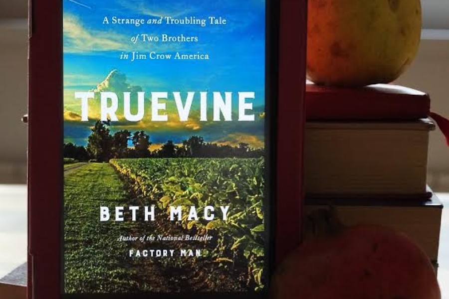 Istinita priča - "Truevine" -dva brata, otmica i potraga jedne majke  - Beth Macy