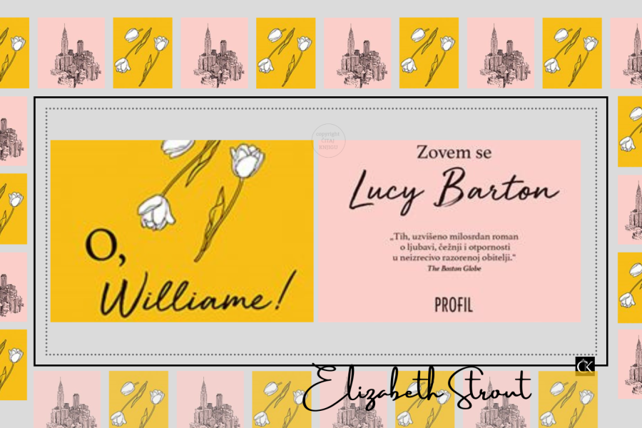 Zovem se Lucy Barton – Elizabeth Strout – oskudan roman  o nesavršenosti ljubavi